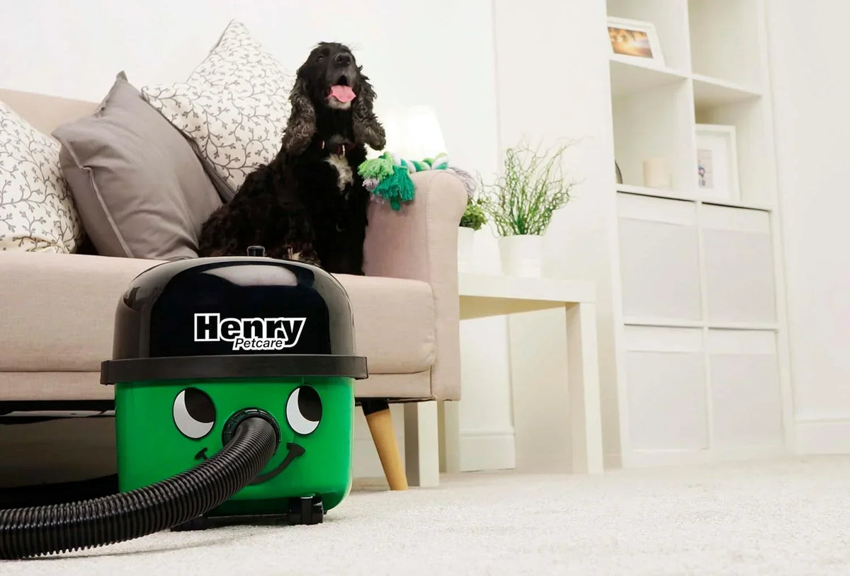 Nouveauté 2026 – Aspirateur traîneau NaceCare pour animaux de compagnie