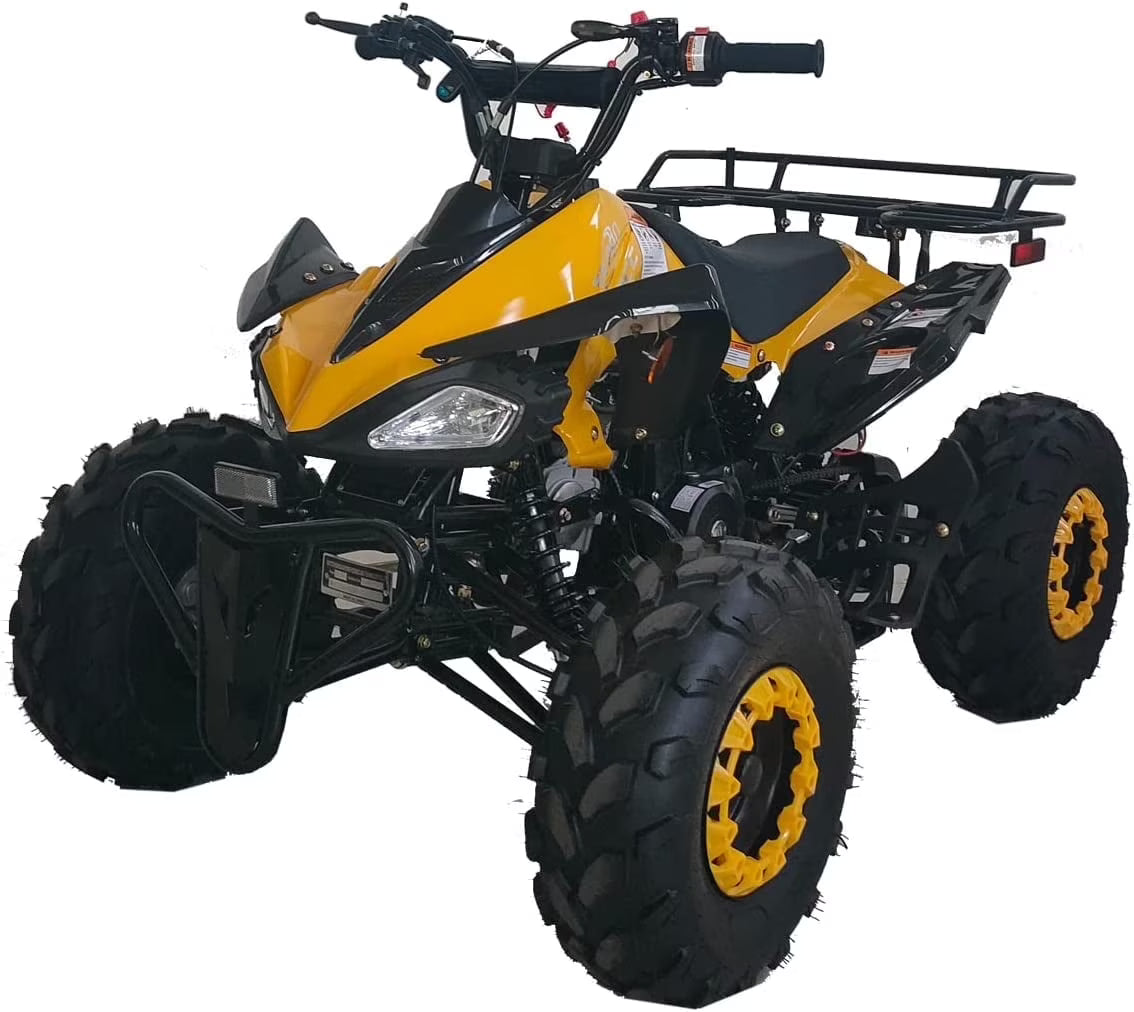 Nouveauté 2026 – VTT X-Pro , 125 cm³, essence, transmission automatique avec marche arrière télécommandée, gros pneus 19"/18