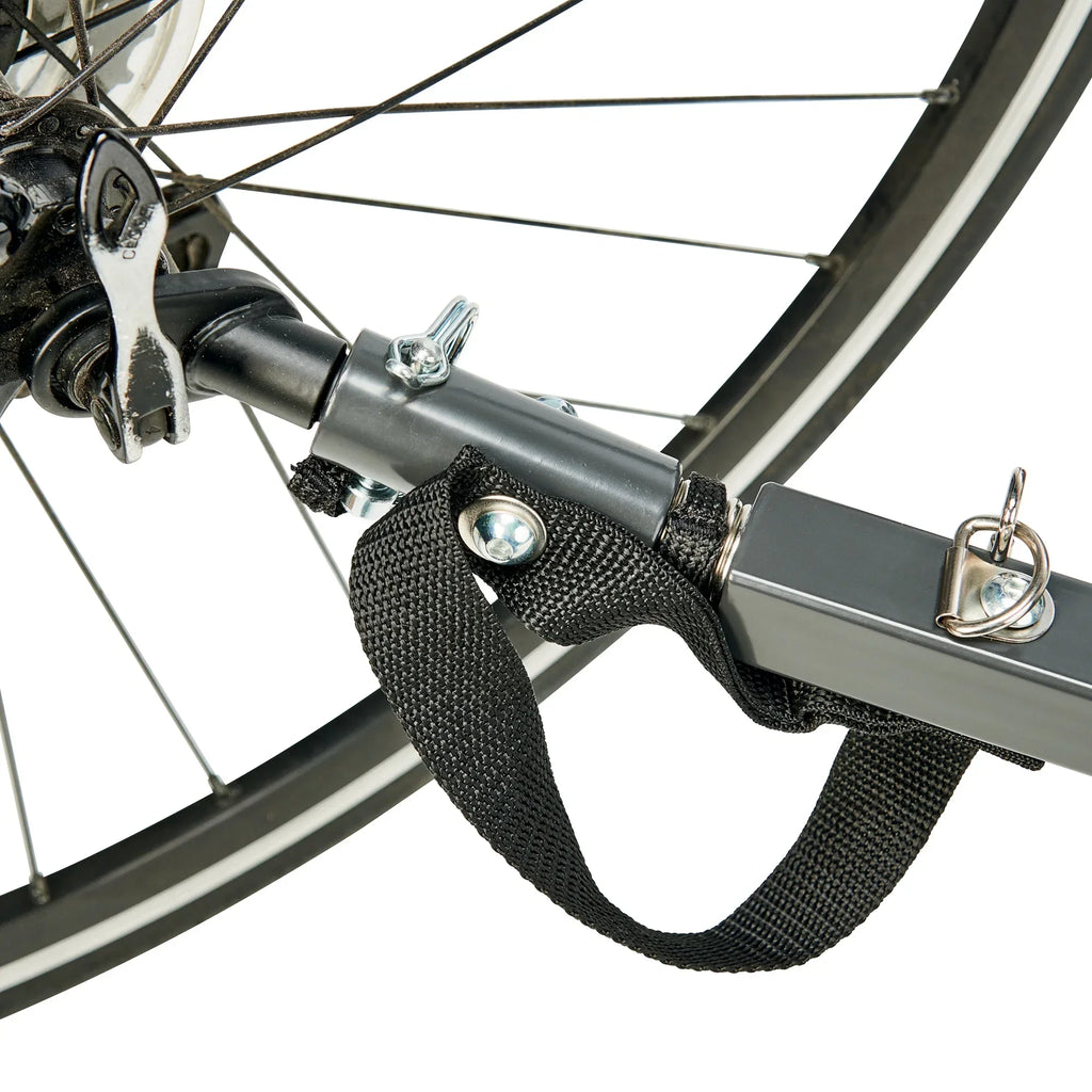 Nouveauté 2026 – Remorque vélo et poussette Allen Sports Deluxe pour 2 enfants, modèle AS2, verte