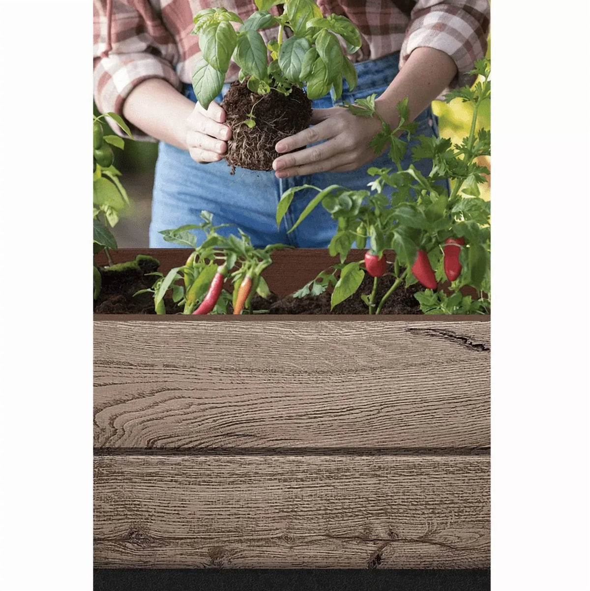 Nouveauté 2026 – Lit de jardin surélevé en résine de 29 gallons de la collection Signature Keter