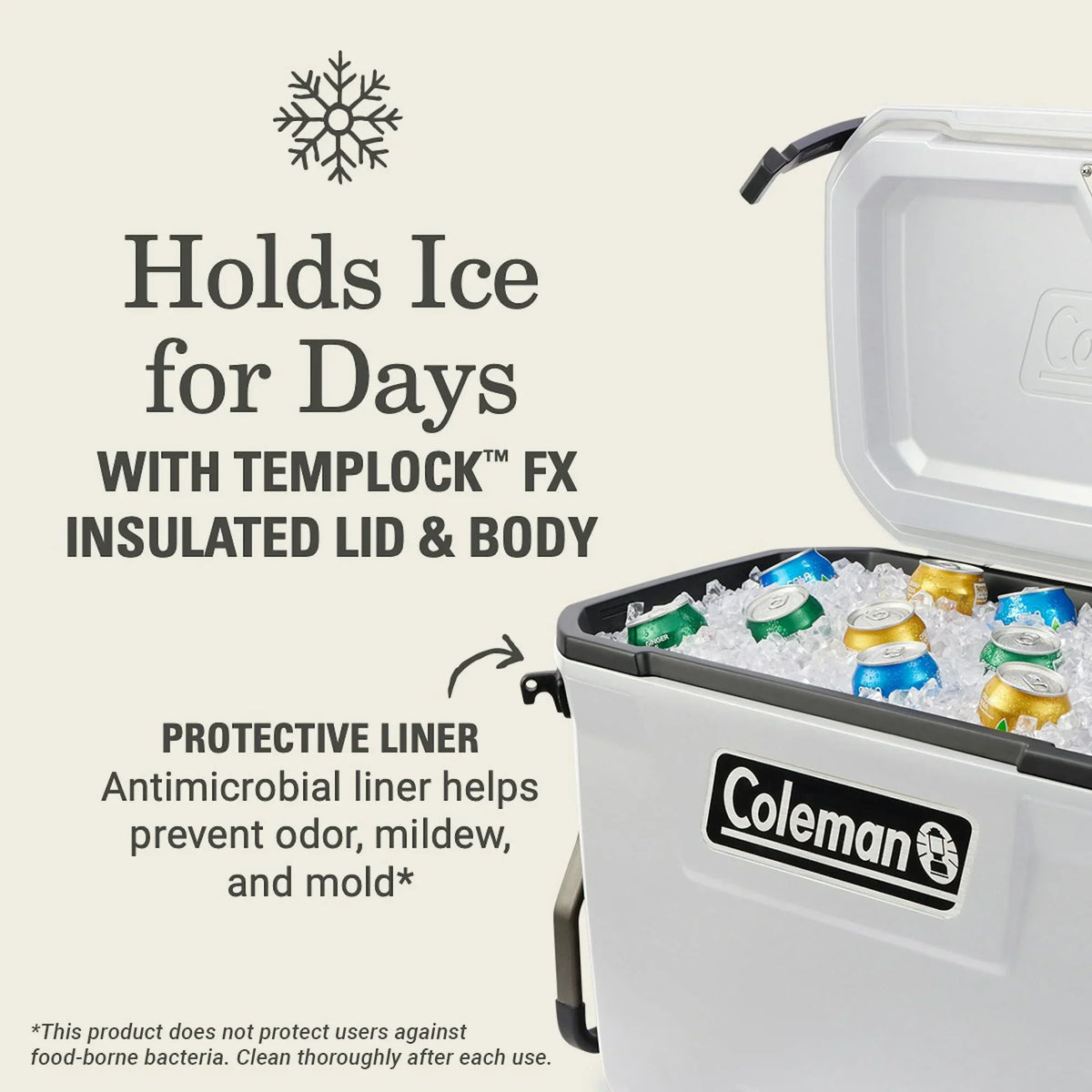 Nouveauté 2026 – Glacière rigide Coleman Convoy Series , 65 pintes (environ 60 litres), avec roulettes, capacité jusqu'à 48 canettes, couleur noyer brun