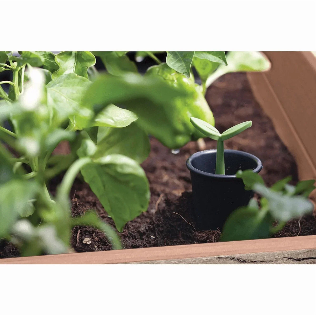Nouveauté 2026 – Lit de jardin surélevé en résine de 29 gallons de la collection Signature Keter