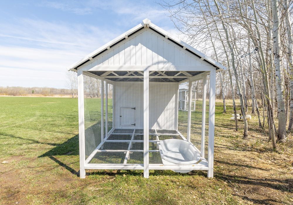 Nouveauté 2026 – Zylina Modern Duck Barn - Duck Coop