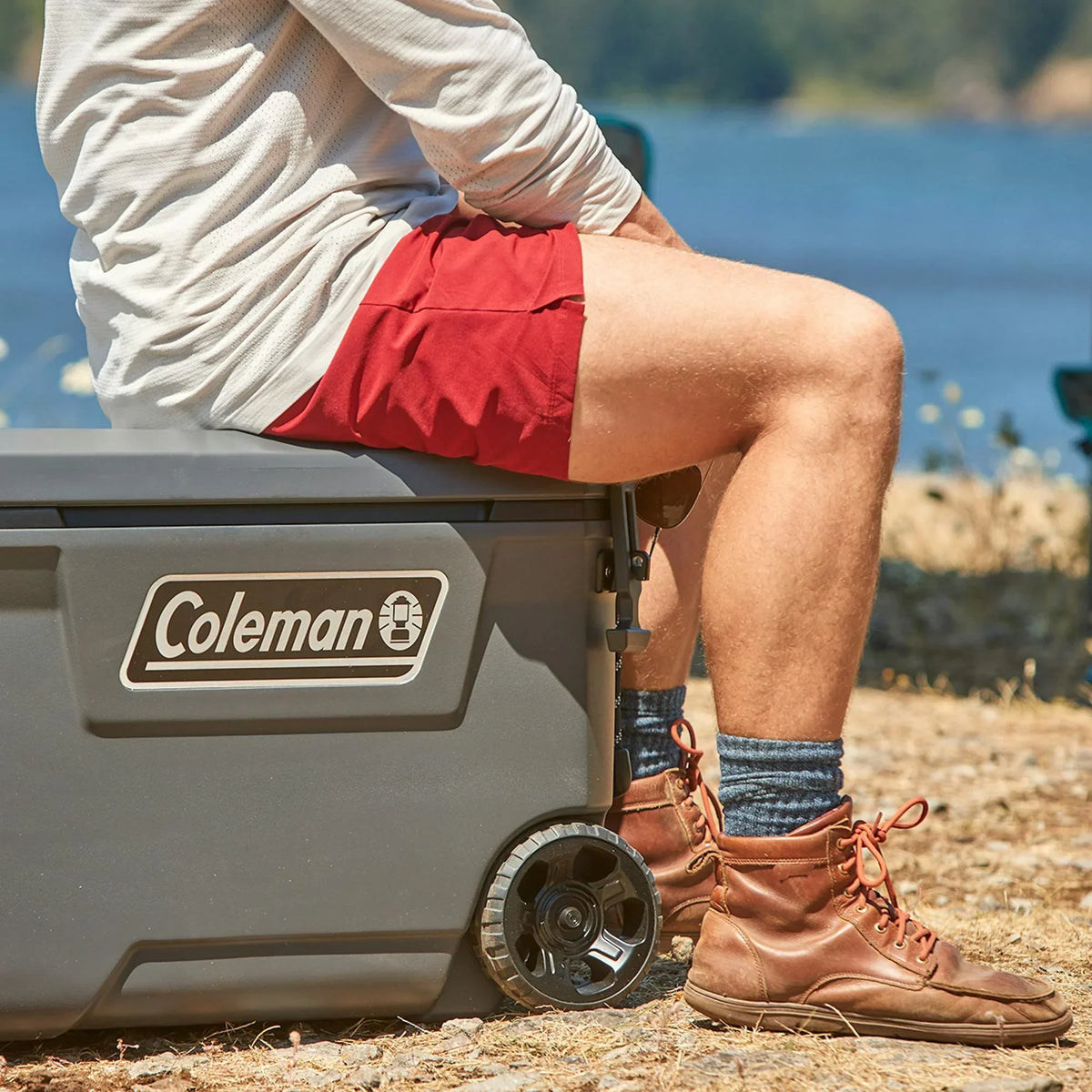 Nouveauté 2026 – Glacière rigide Coleman Convoy Series , 65 pintes (environ 60 litres), avec roulettes, capacité jusqu'à 48 canettes, couleur noyer brun