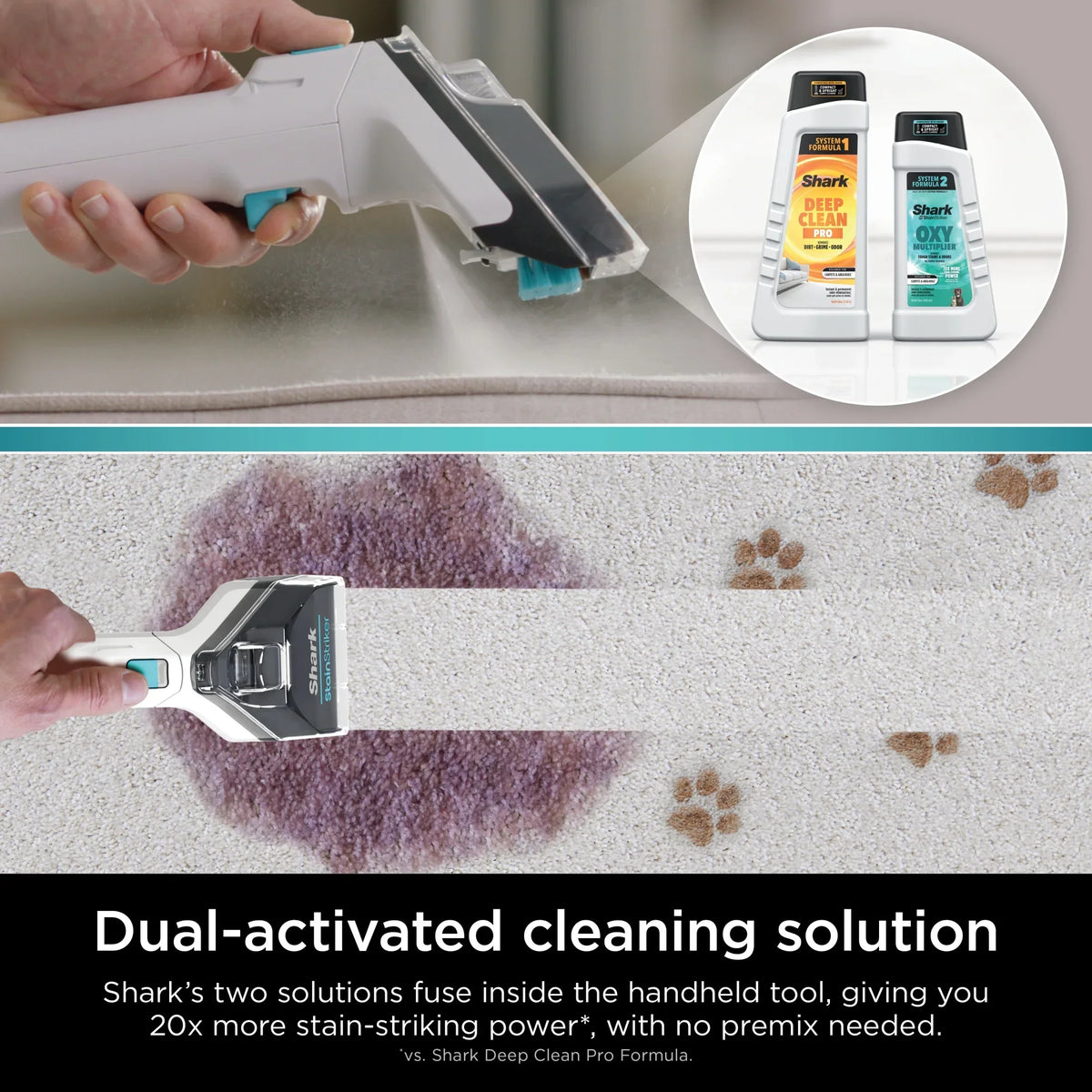 Nouveauté 2026 – Nettoyeur de tapis Shark CarpetXpert avec Stainstriker