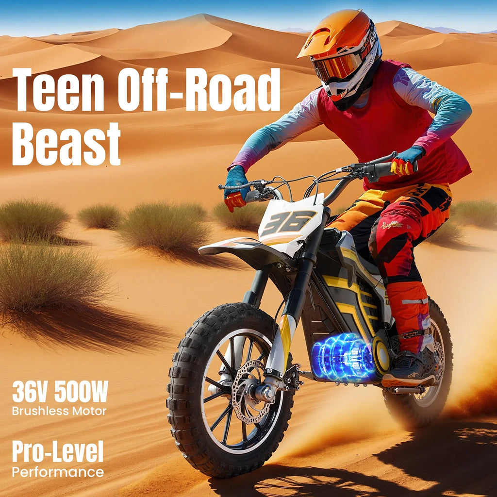 Nouveauté 2026 – Moto tout-terrain électrique QEASET , 500 W, pour enfants (garçons et filles) de 8 à 14 ans, bleue