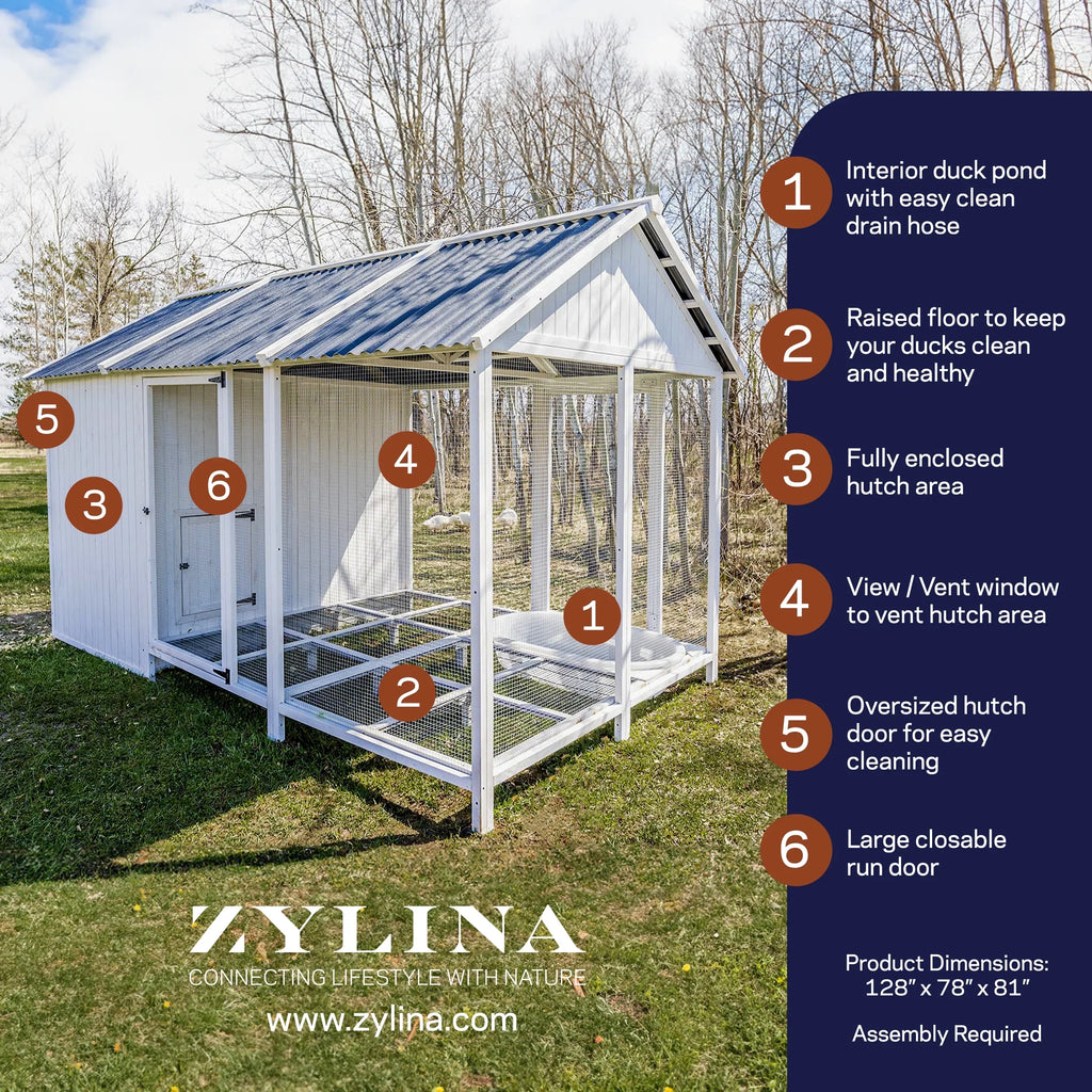 Nouveauté 2026 – Zylina Modern Duck Barn - Duck Coop