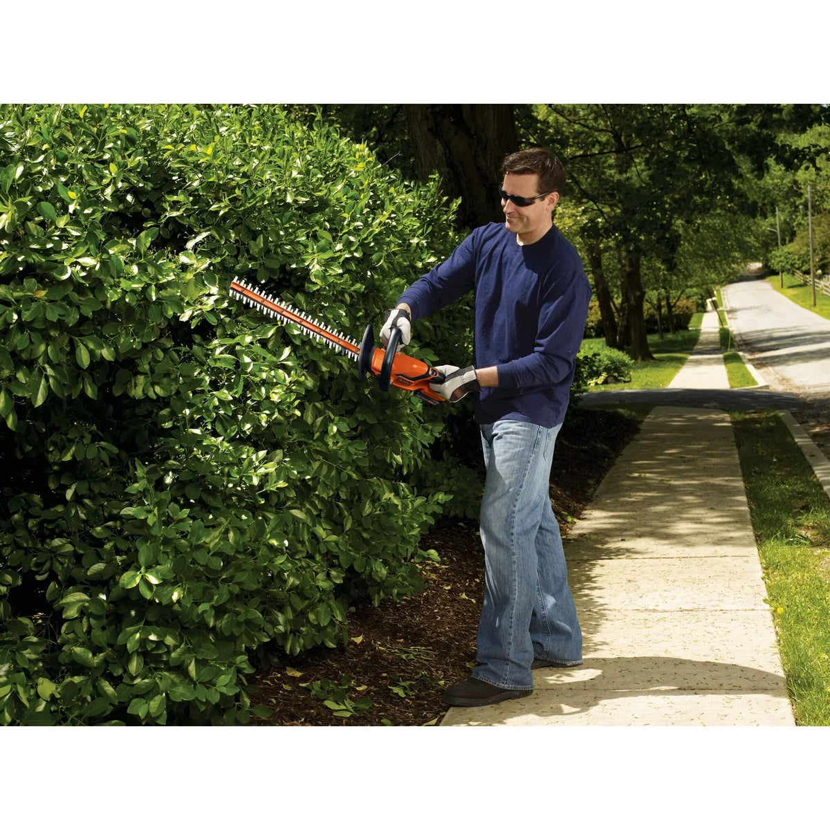 Nouveauté 2026 – Taille-haie sans fil BLACK+DECKER LHT2220 20V MAX*