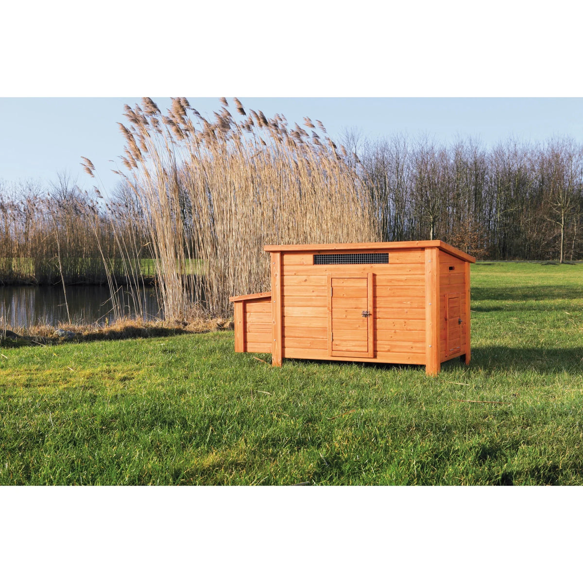 Nouveauté 2026 – Poulailler d'extérieur en bois TRIXIE , résistant aux intempéries, avec 2 pondoirs et enclos, marron