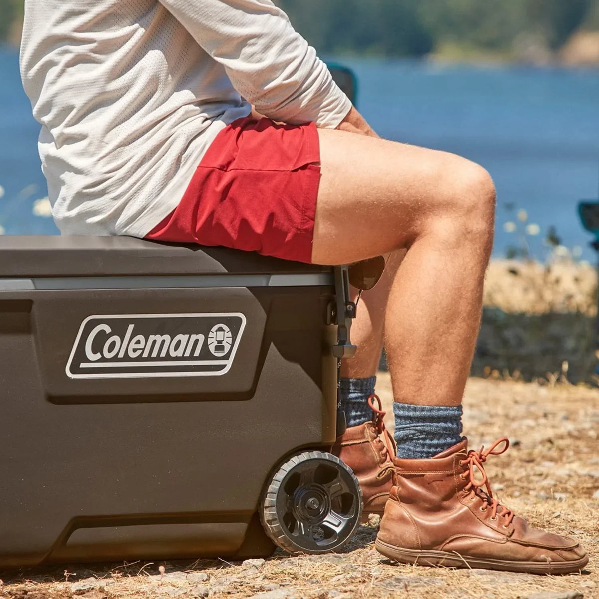 Nouveauté 2026 – Glacière rigide Coleman Convoy Series , 65 pintes (environ 60 litres), avec roulettes, capacité jusqu'à 48 canettes, couleur noyer brun