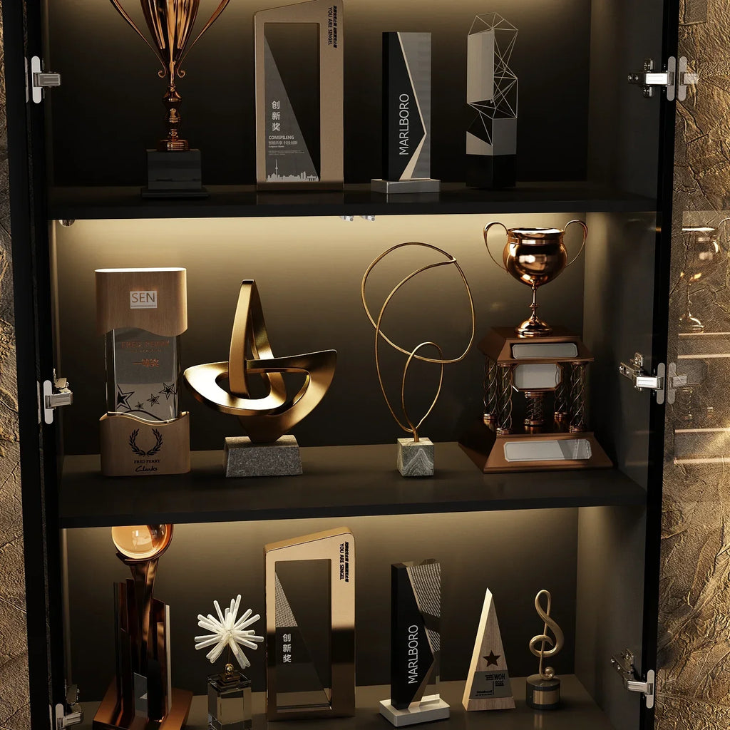 Nouveauté 2026 – Bibliothèque/organisateur KULAGAGA avec éclairage LED, vitrine robuste avec porte vitrée pour salon, 80 cm de large