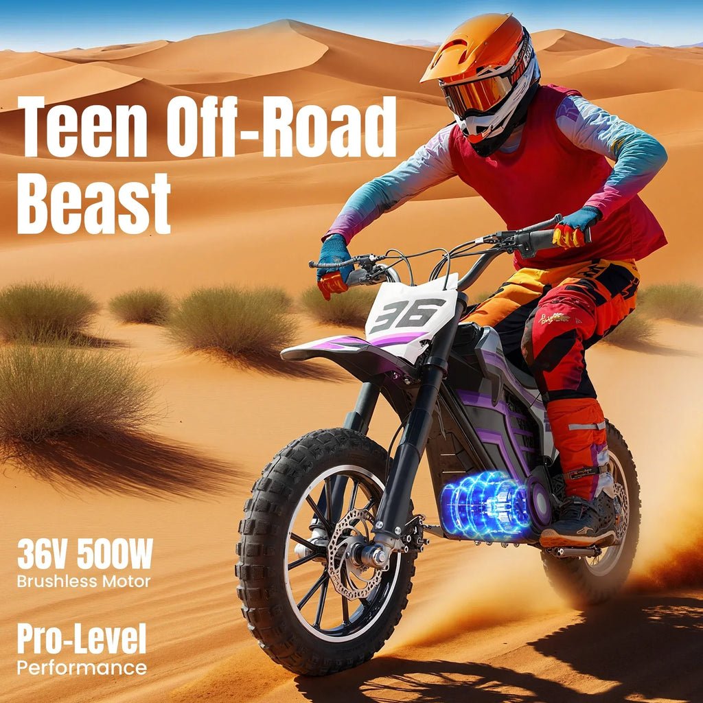 Nouveauté 2026 – Moto tout-terrain électrique QEASET , 500 W, pour enfants (garçons et filles) de 8 à 14 ans, bleue