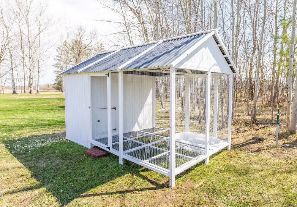 Nouveauté 2026 – Zylina Modern Duck Barn - Duck Coop