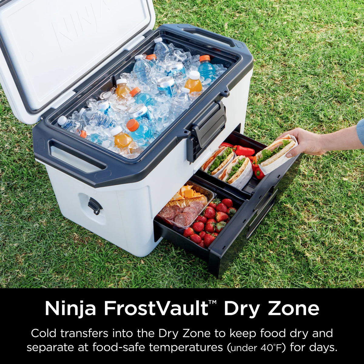 Nouveauté 2026 – Glacière rigide Ninja FrostVault 50 pintes avec zone sèche, grise, FB151GY