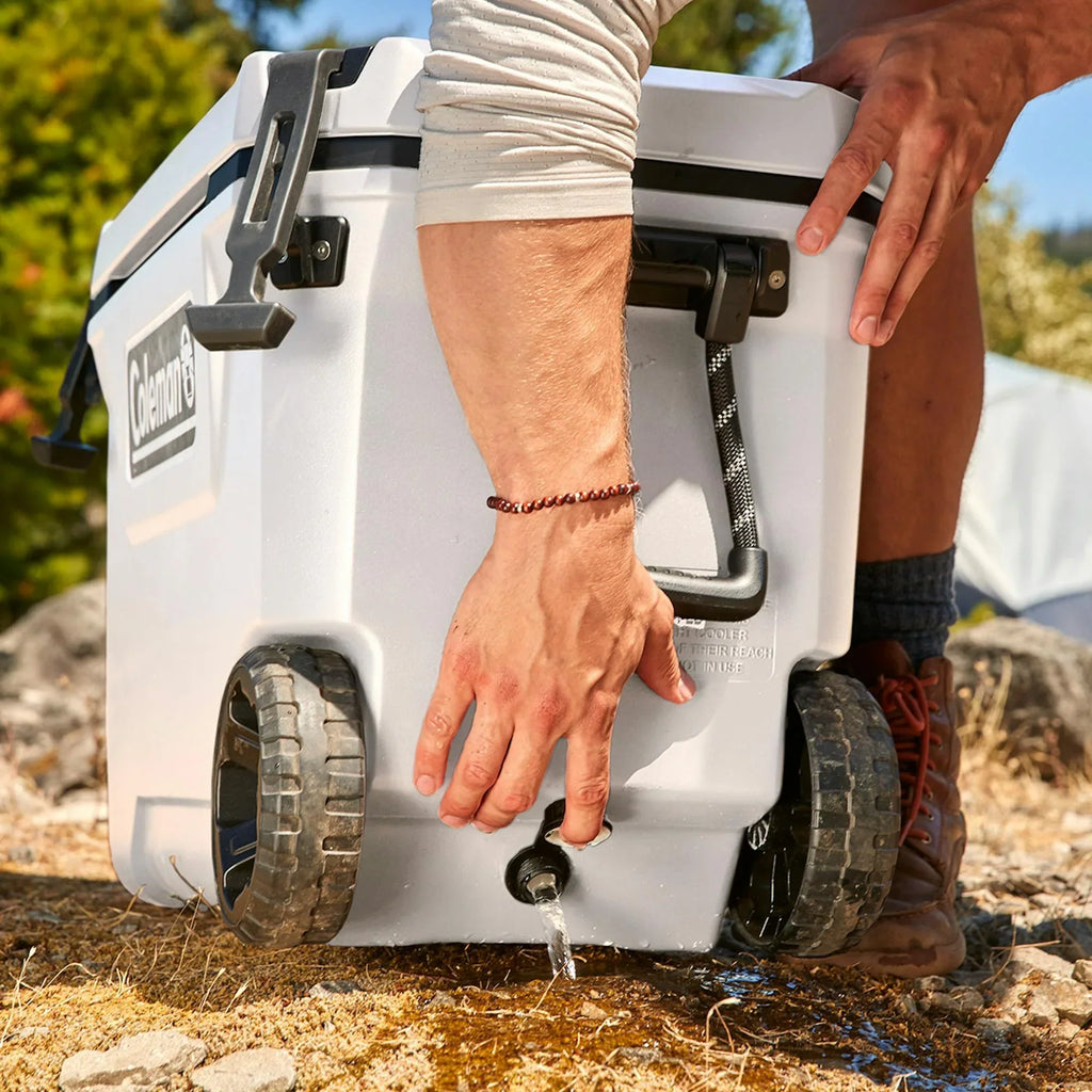 Nouveauté 2026 – Glacière rigide Coleman Convoy Series , 65 pintes (environ 60 litres), avec roulettes, capacité jusqu'à 48 canettes, couleur noyer brun