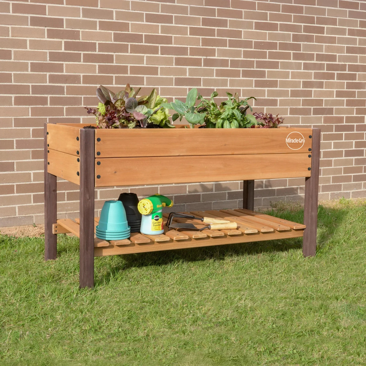 Nouveauté 2026 – Jardinière surélevée Miracle-Gro en bois de 60 x 120 cm avec étagère