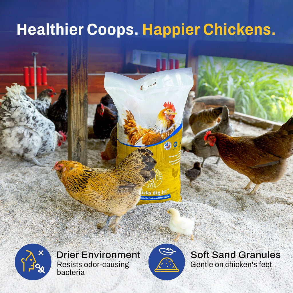 Nouveauté 2026 – Sable de qualité supérieure pour poules, litière anti-odeurs pour poulaillers, sac de 22,7 kg (50 lb), paquet de 8