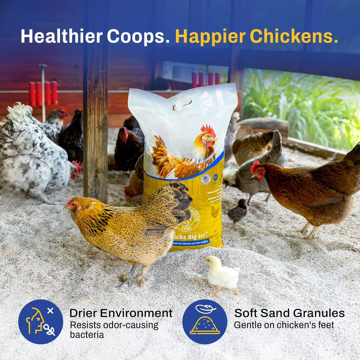 Nouveauté 2026 – Sable de qualité supérieure pour poules, litière anti-odeurs pour poulaillers, sac de 22,7 kg (50 lb), paquet de 8