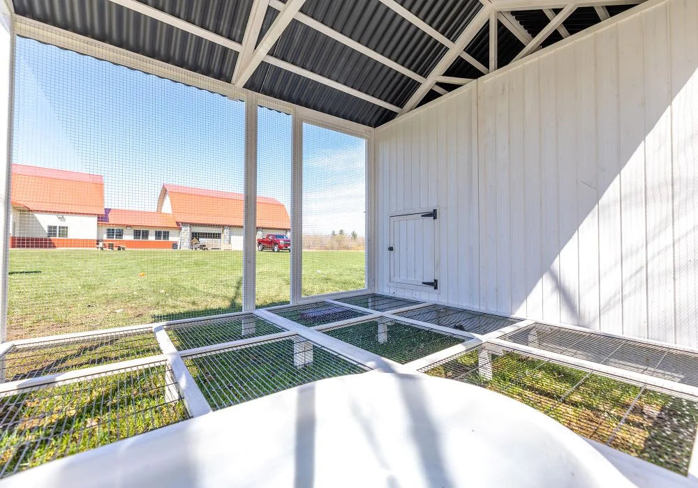 Nouveauté 2026 – Zylina Modern Duck Barn - Duck Coop