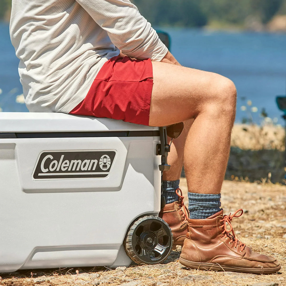 Nouveauté 2026 – Glacière rigide Coleman Convoy Series , 65 pintes (environ 60 litres), avec roulettes, capacité jusqu'à 48 canettes, couleur noyer brun