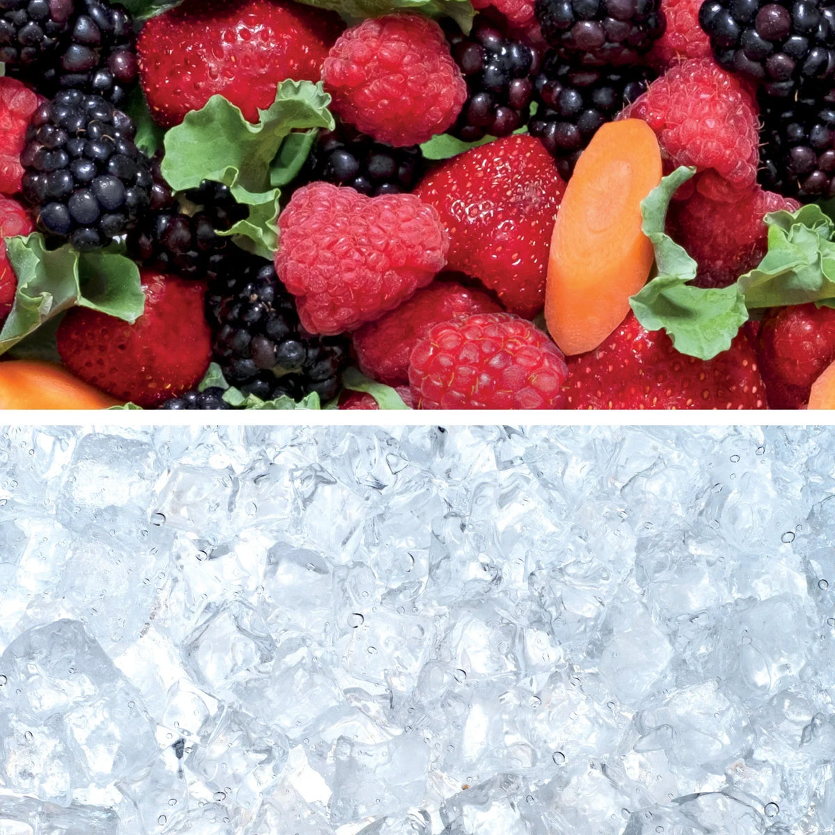 Nouveauté 2026 – Ninja Nutri-Blender Plus