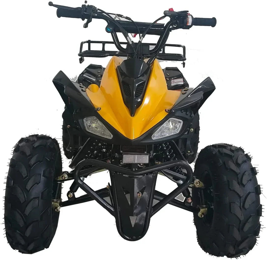 Nouveauté 2026 – VTT X-Pro , 125 cm³, essence, transmission automatique avec marche arrière télécommandée, gros pneus 19"/18