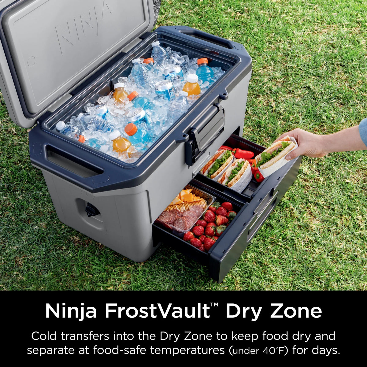 Nouveauté 2026 – Glacière rigide Ninja FrostVault 50 pintes avec zone sèche, grise, FB151GY