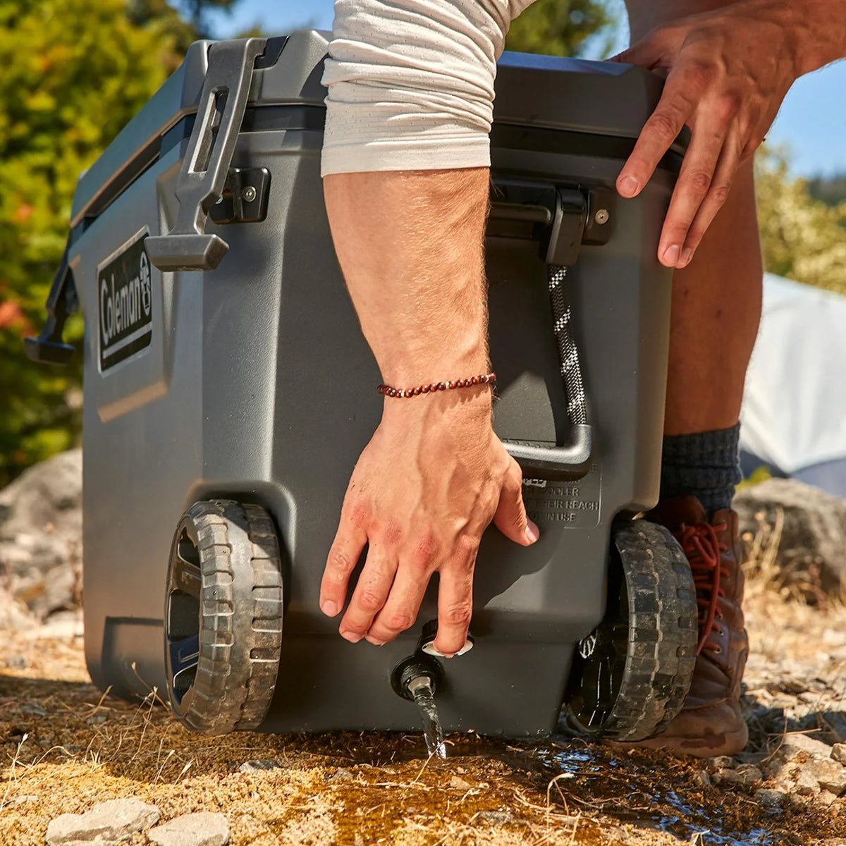 Nouveauté 2026 – Glacière rigide Coleman Convoy Series , 65 pintes (environ 60 litres), avec roulettes, capacité jusqu'à 48 canettes, couleur noyer brun