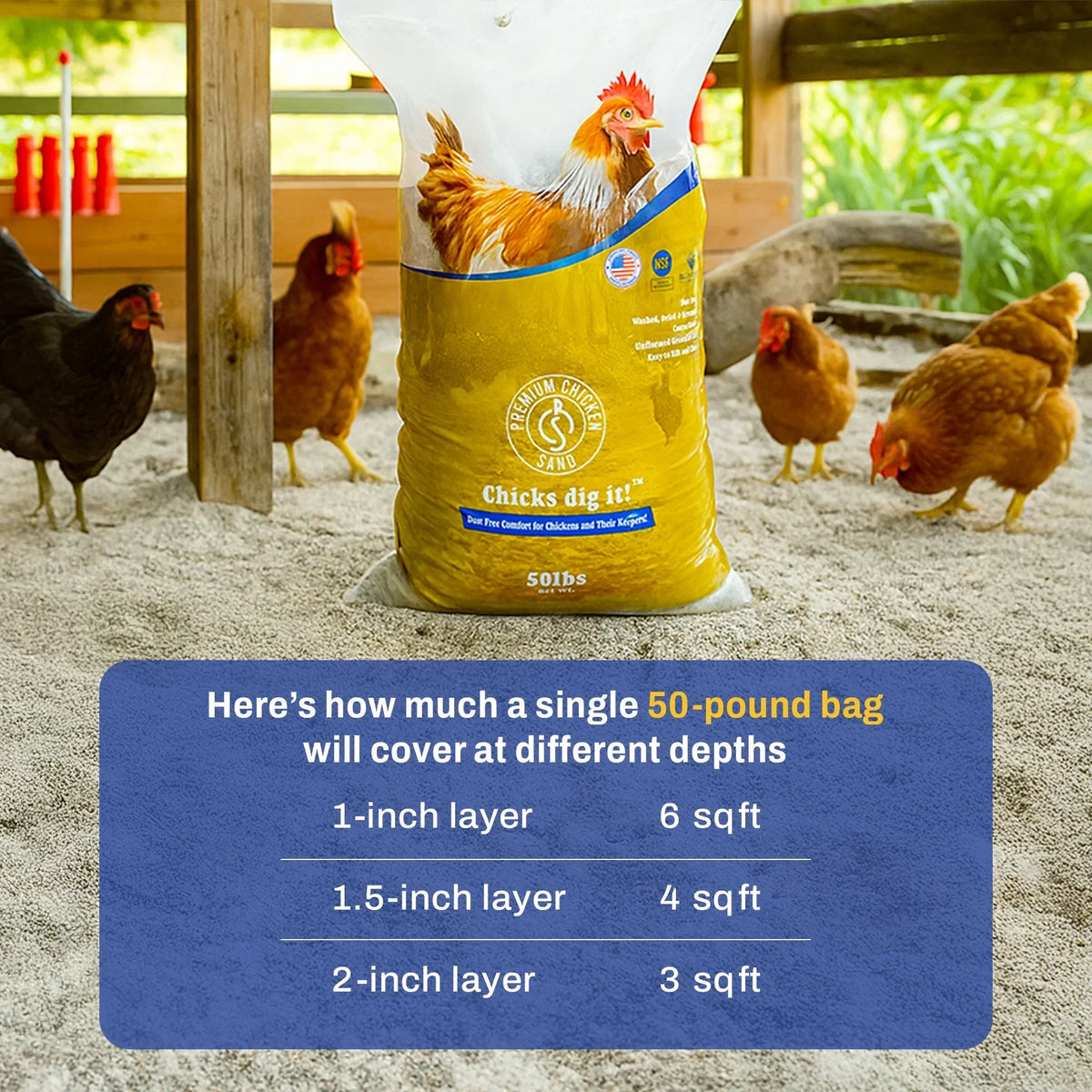 Nouveauté 2026 – Sable de qualité supérieure pour poules, litière anti-odeurs pour poulaillers, sac de 22,7 kg (50 lb), paquet de 8
