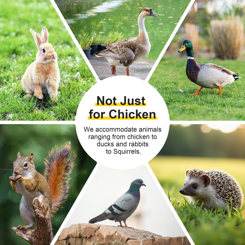 Nouveauté 2026 – Poulailler portable , clapier, cage d'extérieur en bois pour petits animaux (lapins, canards, poussins, cailles), aucun assemblage requis