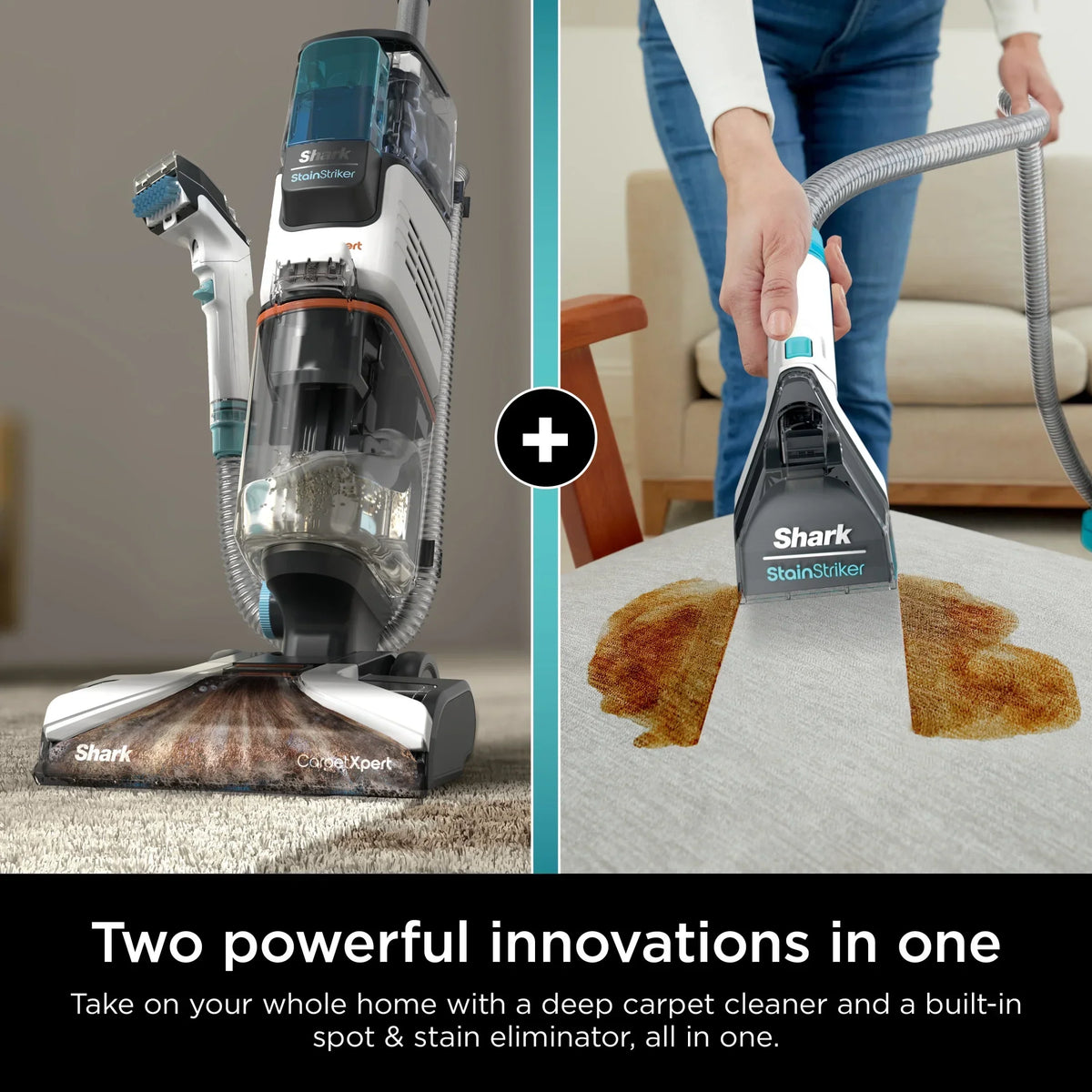 Nouveauté 2026 – Nettoyeur de tapis Shark CarpetXpert avec Stainstriker