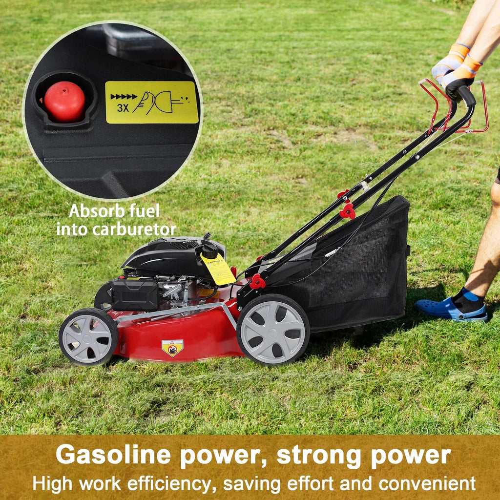 Nouveauté 2026 – Tondeuse à gazon Lawn , autotractée, moteur essence 141 cm3, avec réservoir d'herbe de 50 L et grandes roues
