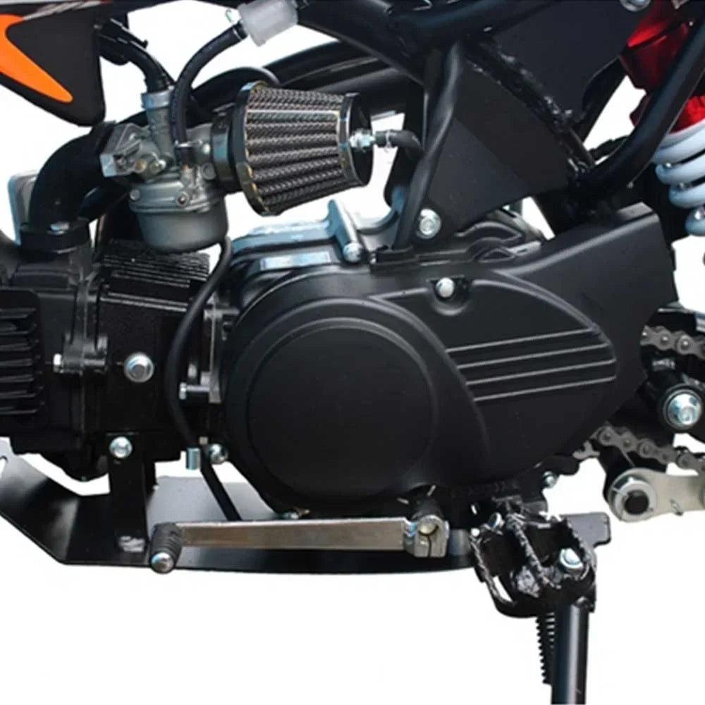 Nouveauté 2026 – Moto tout-terrain semi-automatique Tao Tao DB 14 110cc - Verte
